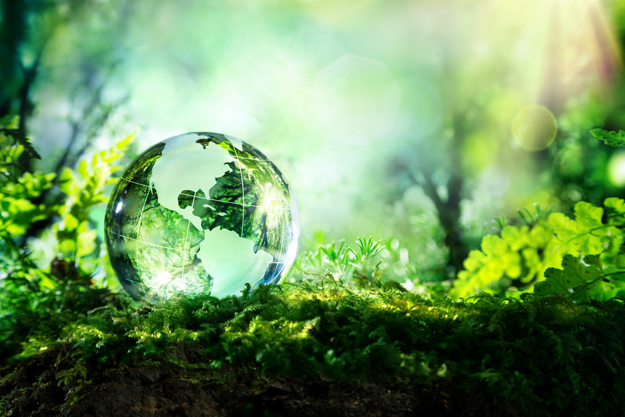 mission green globe in green forest